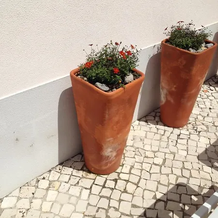 The Garden Amoreira (Leiria)